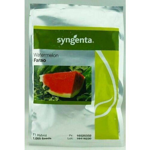  F1   (Syngenta / ) 4500