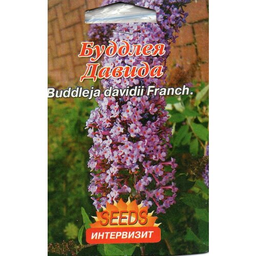   (Buddleja davidii Franch) 350