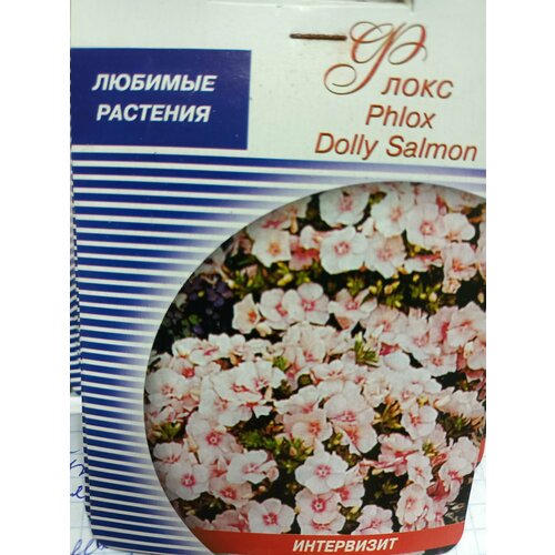  Phlox Dolly Salmon  250