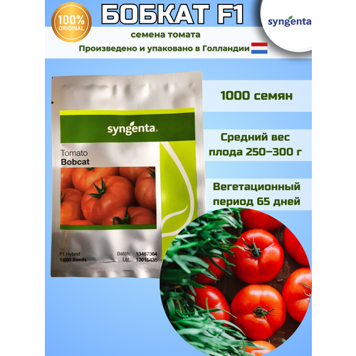  F1 -  , 1 000 , Syngenta/ () 3645