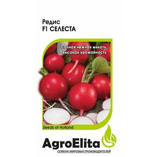    F1 (AgroElita) 0,5 ( ) 49