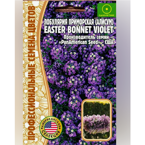  () Easter Bonnet Violet 20 .   (2  ) 440