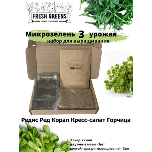     Fresh Greens (   - ) 386