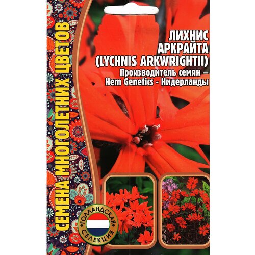  , LYCHNIS ARKWRIGHTII,  ( 1 : 0.04  ) 179