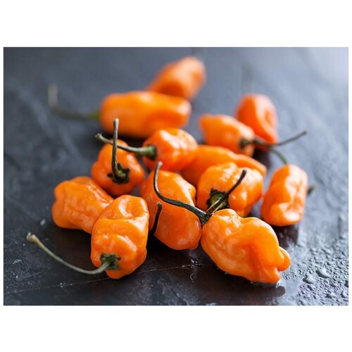      (. Habanero Pepper Orange)  5 333