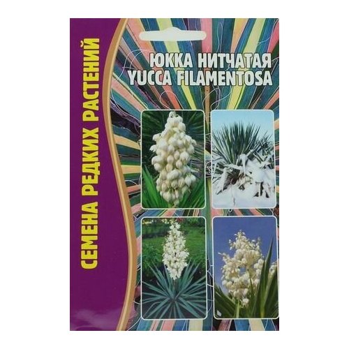    (Yucca filamentosa) (15 ) 199
