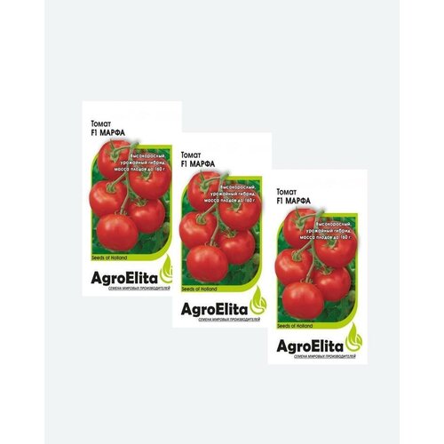    F1, 5, AgroElita, Seminis(3 ) 391