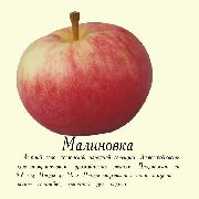 Малиновка