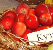 Кузнецовское