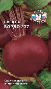 ����� 237 ���� ������