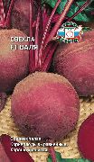 ���� F1 ���� ������