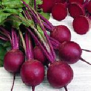 ����� F1 ���� ������