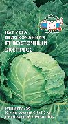Восточный Экспресс F1