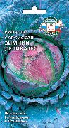 Зимний деликатес
