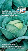 Урожайная