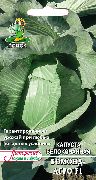 ������-���� F1  ���� ������������ �������