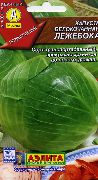 �������� ���� ������������ �������