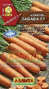 ������ F1 ���� �������