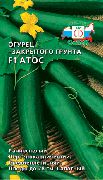 Атос F1