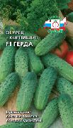 ����� F1 ���� �������