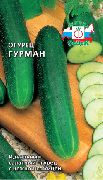 Гурман