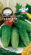 Княжна F1