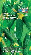 Лизетта F1
