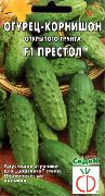 Престол F1