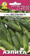 ��������� F1 ���� �������