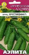 ���������� F1