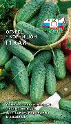 ��� F1 ���� �������