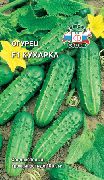 ������� ���� �������