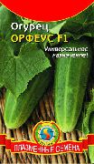 Орфеус F1