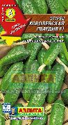 Королевская гвардия F1