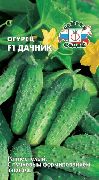 Дачник F1