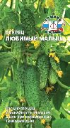 Любимый малыш