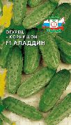 ������� F1 ���� �������