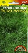 ��������-��������� ���� ������
