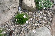 ��������� ������ ������� �����