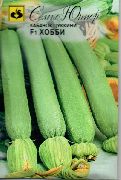 ����� F1 ���� ��������