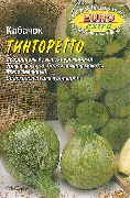 Тинторетто