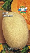 Мельба
