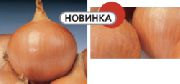 Хилтон F1