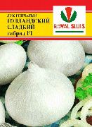 Голландский сладкий F1