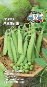 Малыш