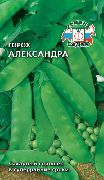 Александра