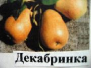 Декабринка