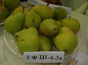�� III�4-3�