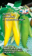 Золотой Рог