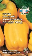 Калифорния Вондер Голд